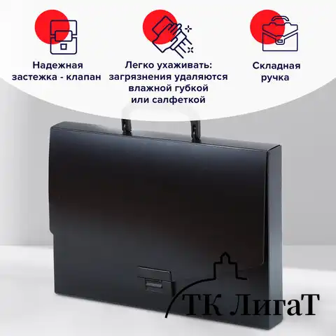 Папка-портфель пластиковая BRAUBERG "Energy" А4 (330х256х32 мм), без отделений, черная, 221202