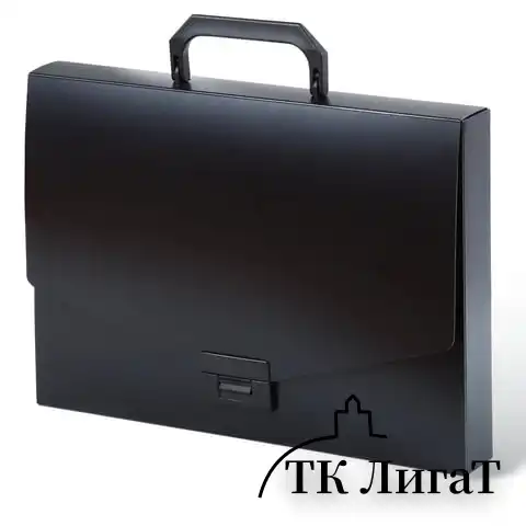 Папка-портфель пластиковая BRAUBERG "Energy" А4 (330х256х32 мм), без отделений, черная, 221202