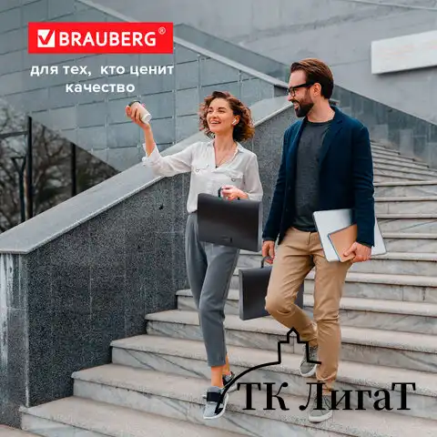 Папка-портфель пластиковая BRAUBERG "Energy" А4 (330х256х32 мм), без отделений, черная, 221202