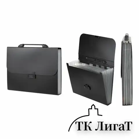 Папка-портфель пластиковая BRAUBERG "Energy" А4 (330х256х32 мм), 7 отделений, черная, 221204