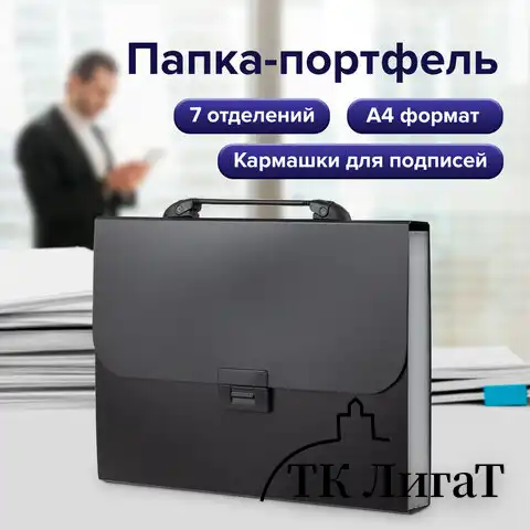 Папка-портфель пластиковая BRAUBERG "Energy" А4 (330х256х32 мм), 7 отделений, черная, 221204