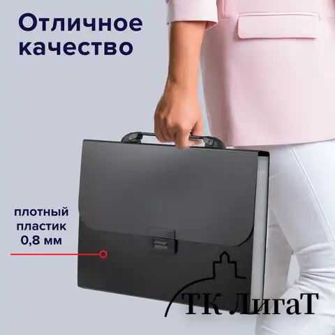 Папка-портфель пластиковая BRAUBERG "Energy" А4 (330х256х32 мм), 7 отделений, черная, 221204