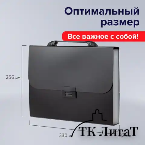 Папка-портфель пластиковая BRAUBERG "Energy" А4 (330х256х32 мм), 7 отделений, черная, 221204