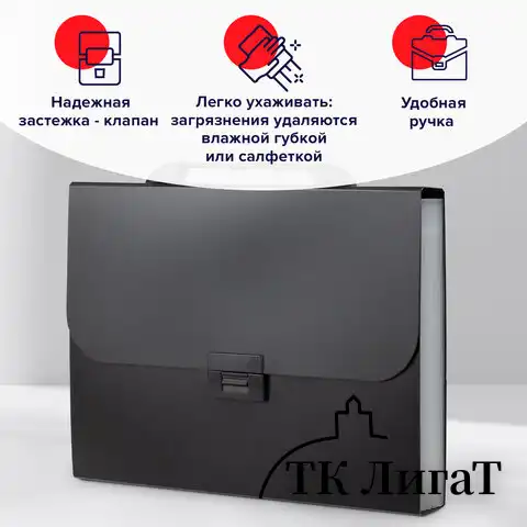 Папка-портфель пластиковая BRAUBERG "Energy" А4 (330х256х32 мм), 7 отделений, черная, 221204