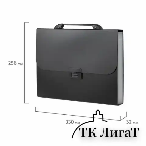 Папка-портфель пластиковая BRAUBERG "Energy" А4 (330х256х32 мм), 7 отделений, черная, 221204