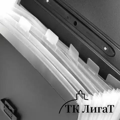 Папка-портфель пластиковая BRAUBERG "Energy" А4 (330х256х32 мм), 7 отделений, черная, 221204