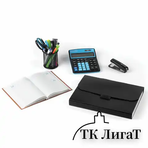 Папка-портфель пластиковая BRAUBERG "Energy" А4 (330х256х32 мм), 7 отделений, черная, 221204