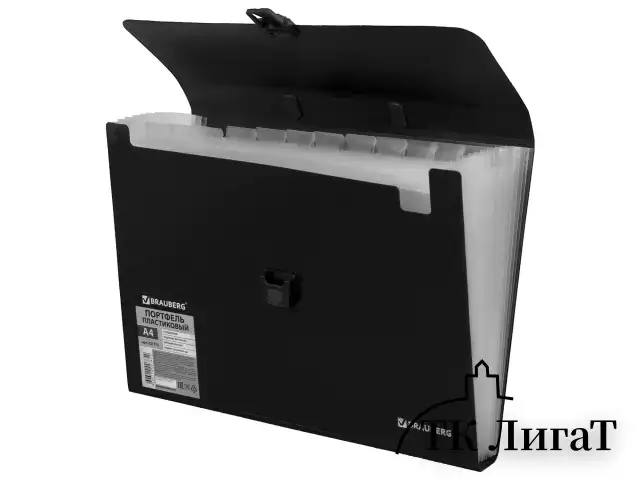 Папка-портфель пластиковая BRAUBERG А4 (332х245х35 мм), 13 отделений, фактура диагональ, черная, 221375