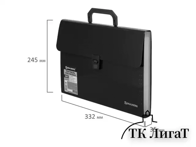 Папка-портфель пластиковая BRAUBERG А4 (332х245х35 мм), 13 отделений, фактура диагональ, черная, 221375