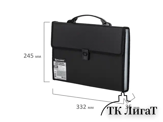 Папка-портфель пластиковая BRAUBERG А4 (332х245х35 мм), 13 отделений, черная, 221378
