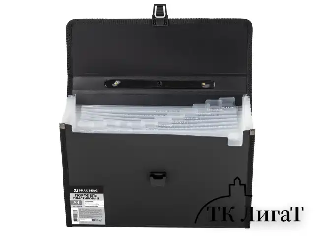 Папка-портфель пластиковая BRAUBERG А4 (332х245х35 мм), 13 отделений, черная, 221378