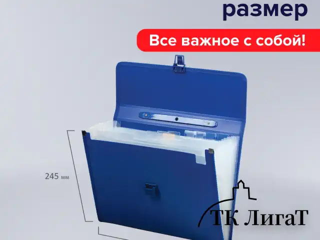 Папка-портфель пластиковая BRAUBERG А4 (332х245х35 мм), 13 отделений, синяя, 221379