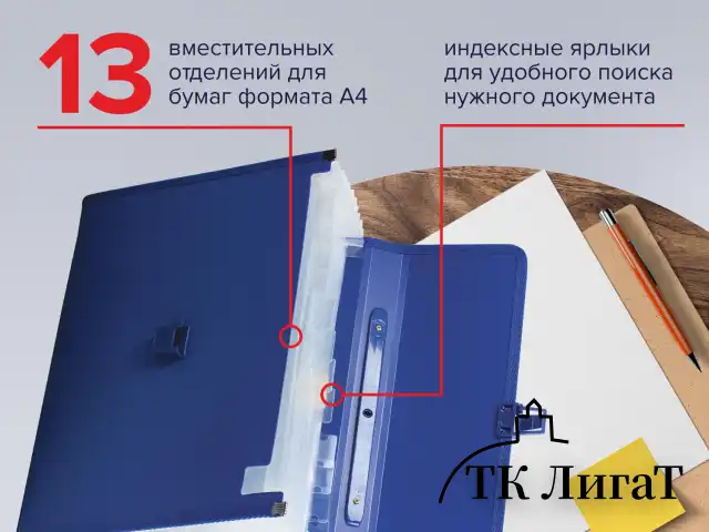 Папка-портфель пластиковая BRAUBERG А4 (332х245х35 мм), 13 отделений, синяя, 221379