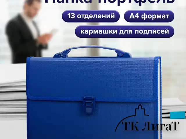 Папка-портфель пластиковая BRAUBERG А4 (332х245х35 мм), 13 отделений, синяя, 221379