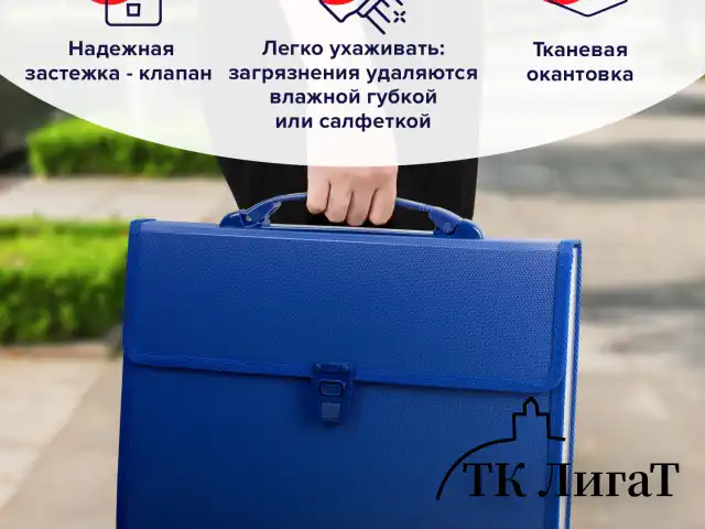 Папка-портфель пластиковая BRAUBERG А4 (332х245х35 мм), 13 отделений, синяя, 221379
