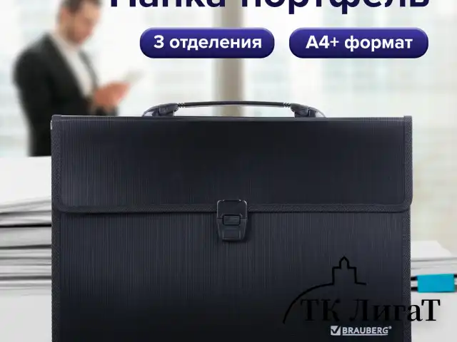 Папка-портфель пластиковая BRAUBERG А4+ (390х260х40 мм), 3 отделения, фактура линейная, черная, 221389