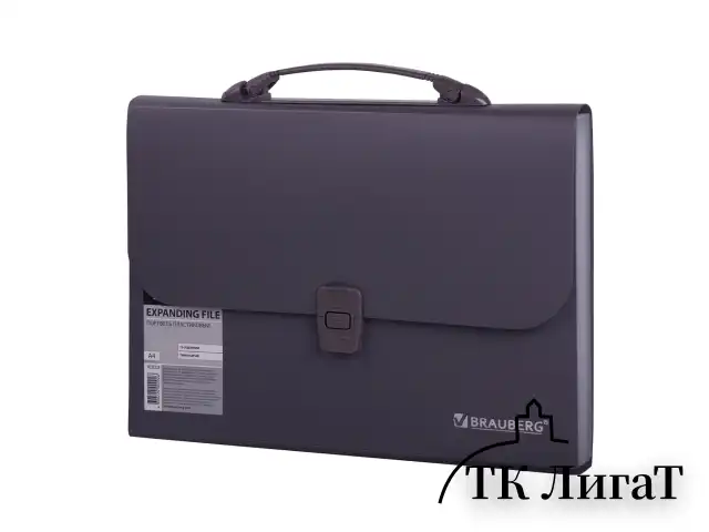 Папка-портфель пластиковая BRAUBERG А4 (327х254х30 мм), 13 отделений, серая, 221438