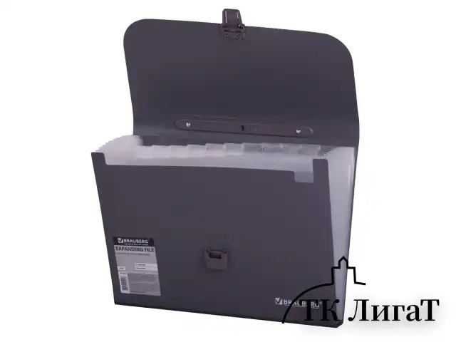Папка-портфель пластиковая BRAUBERG А4 (327х254х30 мм), 13 отделений, серая, 221438