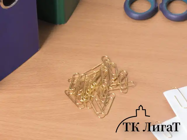 Скрепки BRAUBERG, 28 мм, золотистые, 100 шт., в картонной коробке, 221529