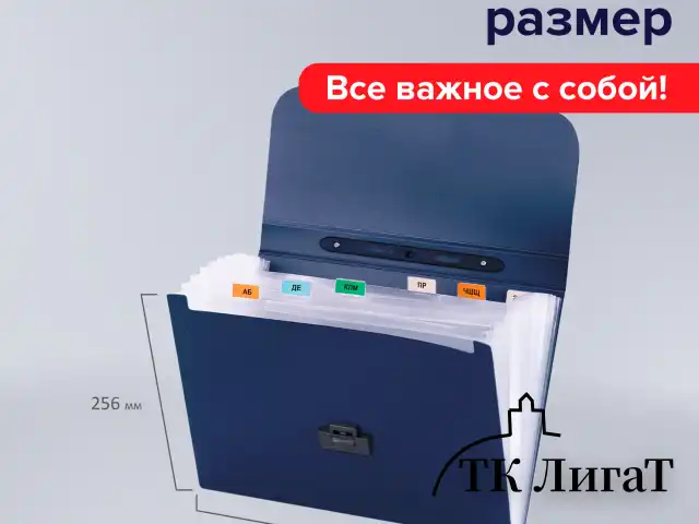 Папка-портфель пластиковая BRAUBERG "Energy" А4 (330х256х32 мм), 7 отделений, синяя, 222572