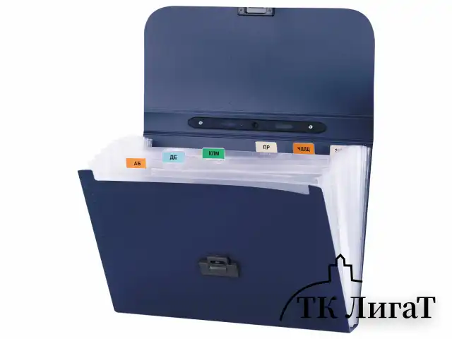 Папка-портфель пластиковая BRAUBERG "Energy" А4 (330х256х32 мм), 7 отделений, синяя, 222572