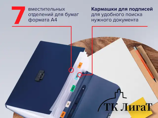 Папка-портфель пластиковая BRAUBERG "Energy" А4 (330х256х32 мм), 7 отделений, синяя, 222572
