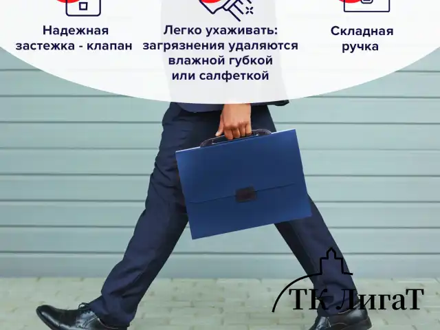 Папка-портфель пластиковая BRAUBERG "Energy" А4 (330х256х32 мм), 7 отделений, синяя, 222572
