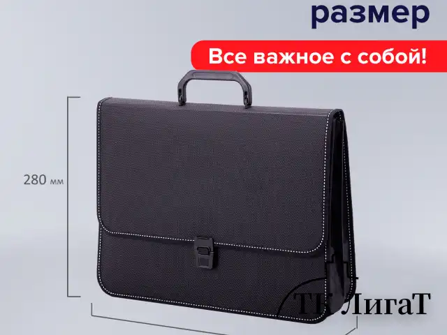 Папка-портфель пластиковая BRAUBERG "КОНСУЛ" А4 (370х280х120 мм), 2 отделения, фактура "бисер", черная, 223079