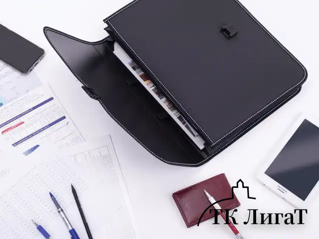 Папка-портфель пластиковая BRAUBERG "КОНСУЛ" А4 (370х280х120 мм), 2 отделения, фактура "бисер", черная, 223079