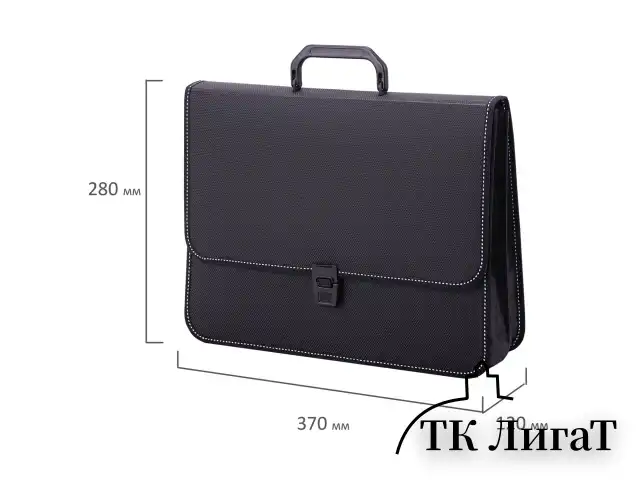 Папка-портфель пластиковая BRAUBERG "КОНСУЛ" А4 (370х280х120 мм), 2 отделения, фактура "бисер", черная, 223079