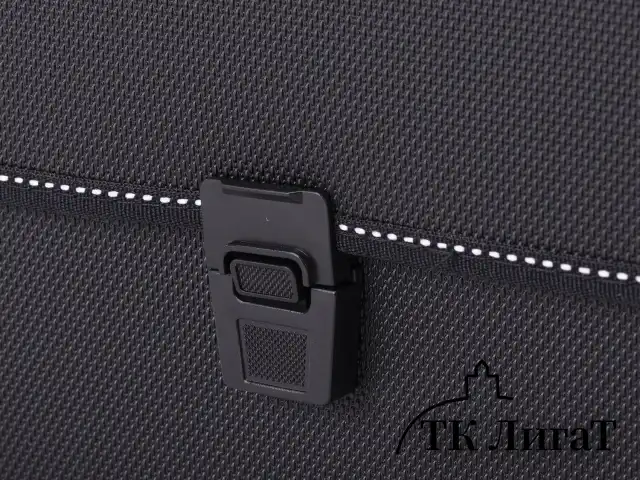 Папка-портфель пластиковая BRAUBERG "КОНСУЛ" А4 (370х280х120 мм), 2 отделения, фактура "бисер", черная, 223079