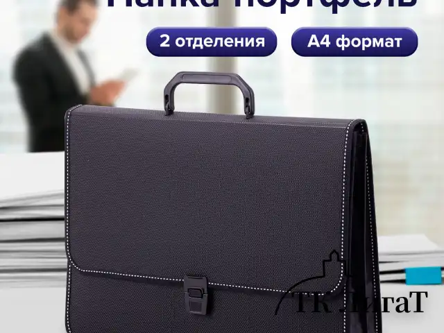 Папка-портфель пластиковая BRAUBERG "КОНСУЛ" А4 (370х280х120 мм), 2 отделения, фактура "бисер", черная, 223079