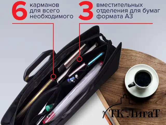 Папка-портфель пластиковая БОЛЬШОГО ФОРМАТА BRAUBERG "ПОРТФОЛИО" А3 (470х380х130 мм), 3 отделения, черная, 223081