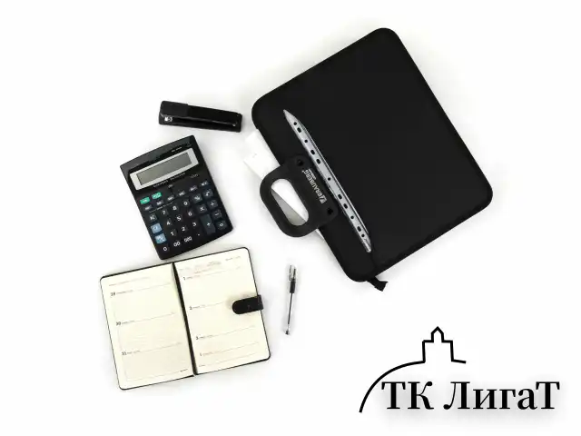 Папка-портфель пластиковая BRAUBERG "ПРЕМЬЕР" А4 (390х315х120 мм) 3 отделения, фактура "бисер", черная, 223082