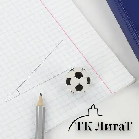 Набор ластиков фигурных ПИФАГОР "Футбол", 3 шт., форма и цвет ассорти, 223608