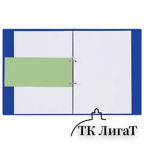 Разделители листов (полосы 240х105 мм) картонные, КОМПЛЕКТ 100 штук, зеленые, BRAUBERG, 223971