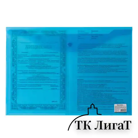 Папка-конверт с кнопкой БОЛЬШОГО ФОРМАТА (305х435 мм), А3, прозрачная, синяя, 0,18 мм, BRAUBERG, 224034