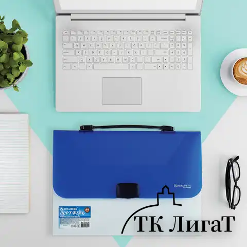 Папка-портфель пластиковая BRAUBERG INCOME А4 (350х235х35 мм), 1 отделение, фактура диагональ, белая/синяя, 224150