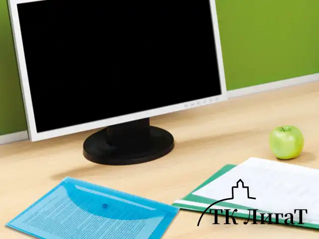 Папка-конверт с кнопкой STAFF, А4, до 100 листов, прозрачная, синяя, 0,12 мм, 224623