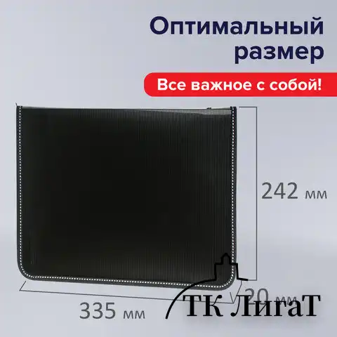Папка на молнии пластиковая BRAUBERG "Contract", А4, 335х242 мм, внутренний карман, черная, 225162