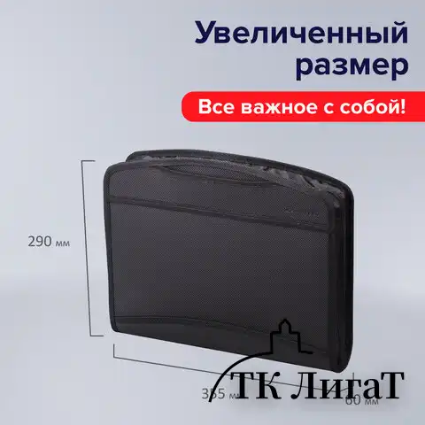 Папка-портфель пластиковая BRAUBERG А4+ (355х290х60 мм), выдвижные ручки, 9 отделений, 1 карман, черная, 225168