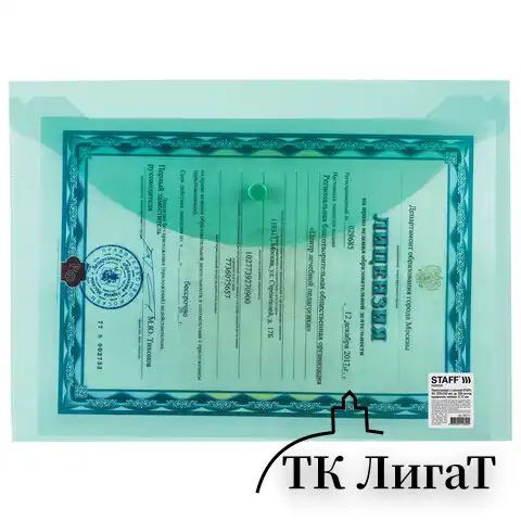Папка-конверт с кнопкой STAFF, А4, до 100 листов, прозрачная, зеленая, 0,12 мм, 225171