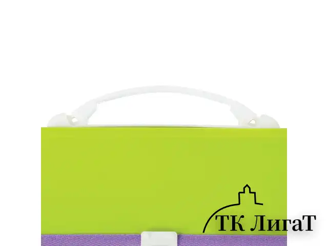 Папка-портфель пластиковая BRAUBERG "JOY", А4 (330х245х35 мм), 13 отделений, с окантовкой, салатовая, 227974