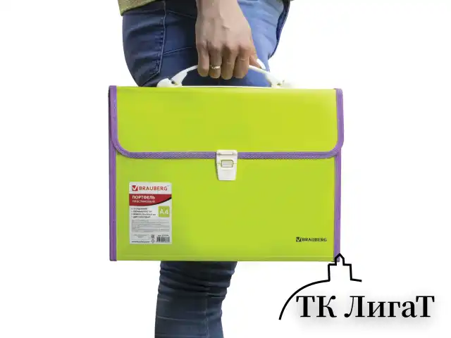 Папка-портфель пластиковая BRAUBERG "JOY", А4 (330х245х35 мм), 13 отделений, с окантовкой, салатовая, 227974