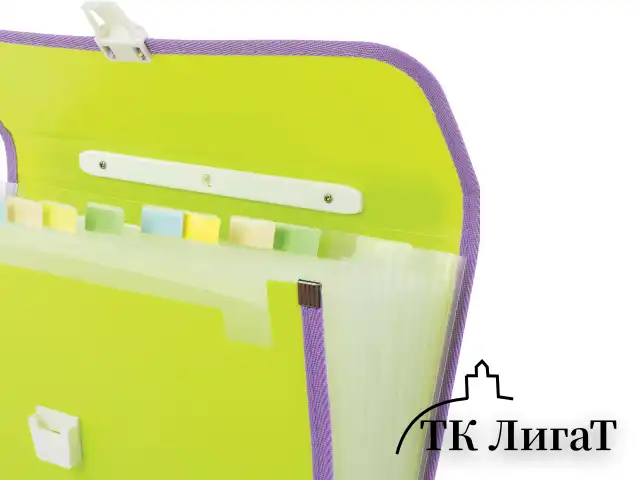 Папка-портфель пластиковая BRAUBERG "JOY", А4 (330х245х35 мм), 13 отделений, с окантовкой, салатовая, 227974