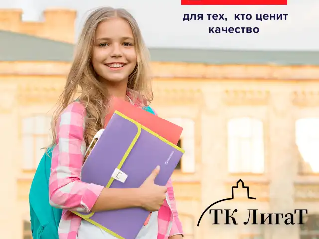 Папка-портфель пластиковая BRAUBERG "JOY", А4 (330х245х35 мм), 13 отделений, с окантовкой, фиолетовая, 227977