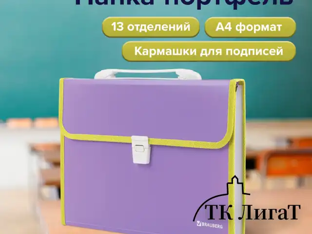 Папка-портфель пластиковая BRAUBERG "JOY", А4 (330х245х35 мм), 13 отделений, с окантовкой, фиолетовая, 227977