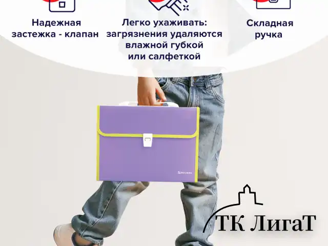 Папка-портфель пластиковая BRAUBERG "JOY", А4 (330х245х35 мм), 13 отделений, с окантовкой, фиолетовая, 227977