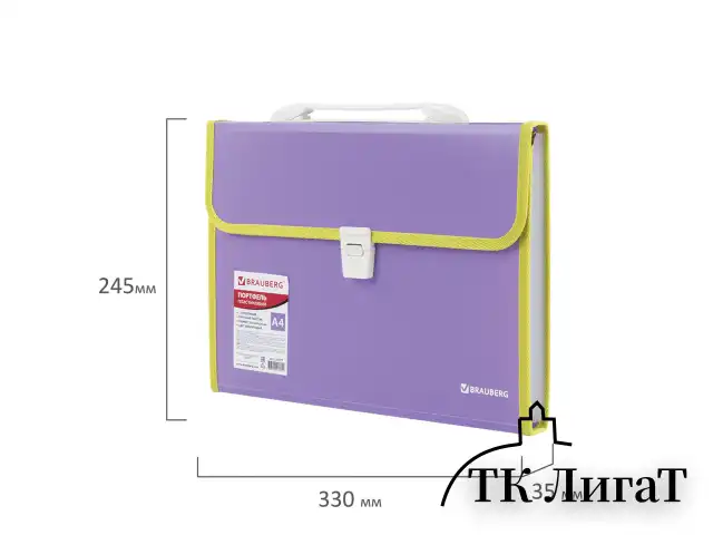 Папка-портфель пластиковая BRAUBERG "JOY", А4 (330х245х35 мм), 13 отделений, с окантовкой, фиолетовая, 227977