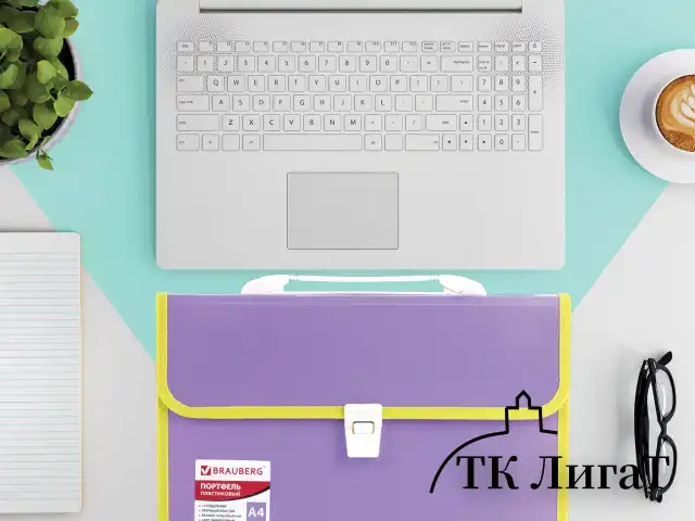 Папка-портфель пластиковая BRAUBERG "JOY", А4 (330х245х35 мм), 13 отделений, с окантовкой, фиолетовая, 227977